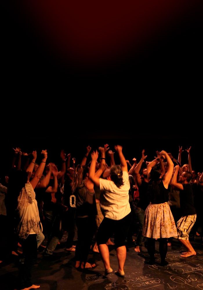 Taller SalamandrA: La estupidez